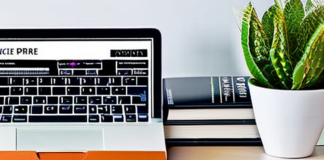 How to Research and Invest in Altcoins How to Research and Invest in Altcoins